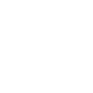 機構(gòu)審核